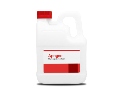 Apogee® Plant Growth Regulator